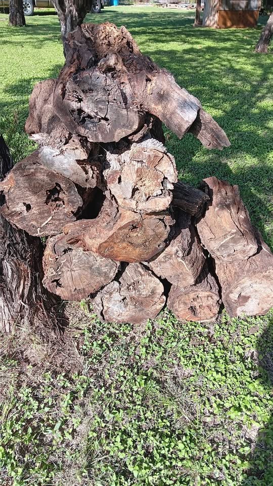 Wood - Image 4