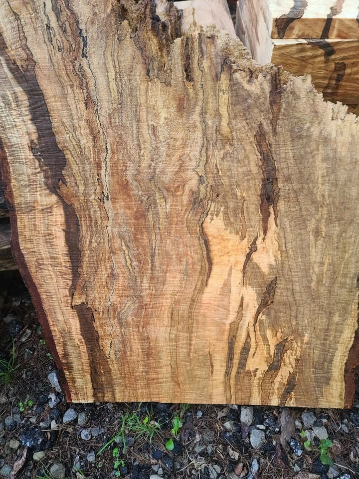 Curly spalted ambrosia maple turning blanks and rounds - Image 2