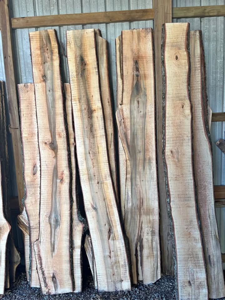 Live Edge maple slabs - Image 1