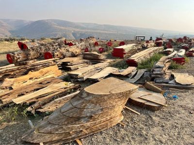 Wood slabs available