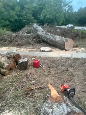 Pecan lumber￼, slabs, logs and live edge available