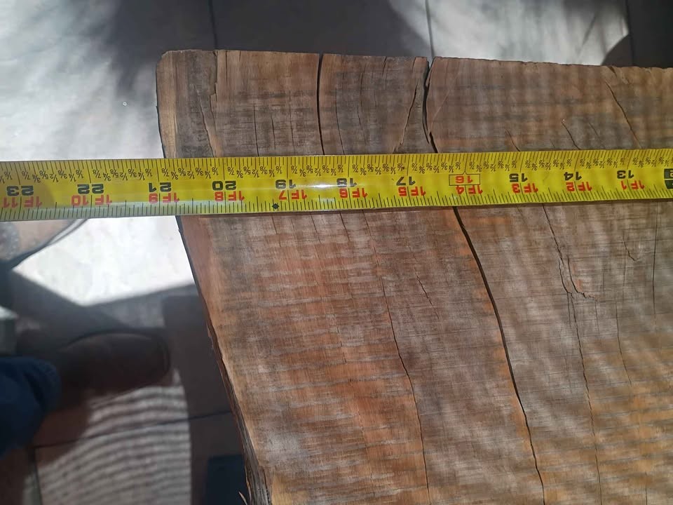 Wood slab - Image 6