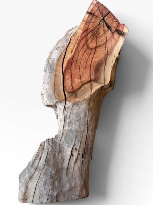 ???? Sculptural Pistachio Slab Live Edge, Wild Red Heartwood ????