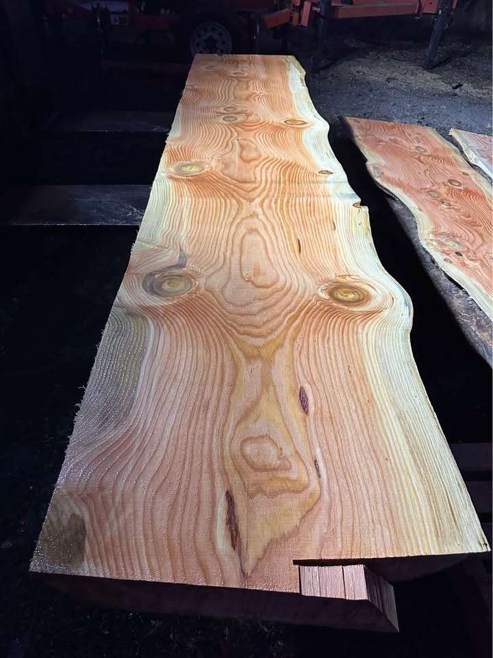 Fir Slab - Image 3