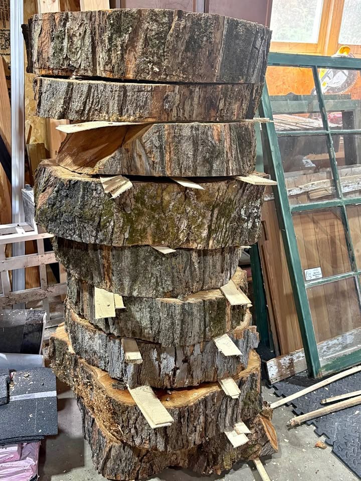Maple slabs “cookies” - Image 1