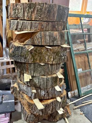 Maple slabs “cookies”