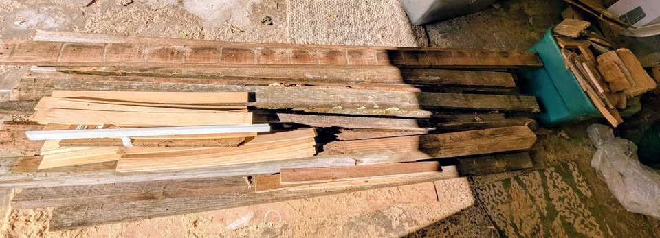 The Great Fall Wood Purge - Image 3