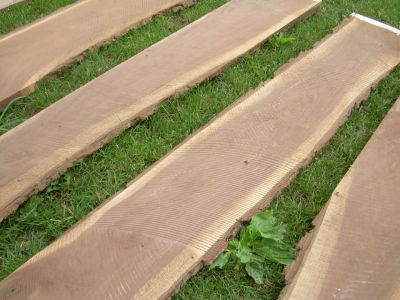 Walnut Lumber Boards Kiln Dried