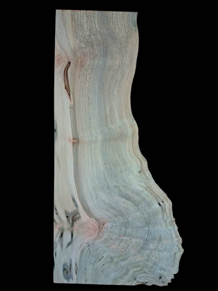 XL MIND BLOWING Birdseye MAPLE BURL Wood Blank, charcuterie blank, Live Edge Maple, EPOXY WOOD - Image 5