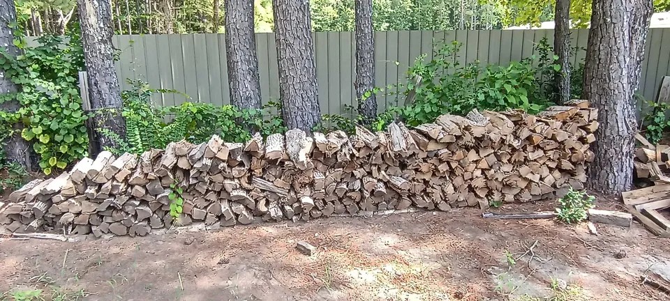 Hard Wood - Image 2