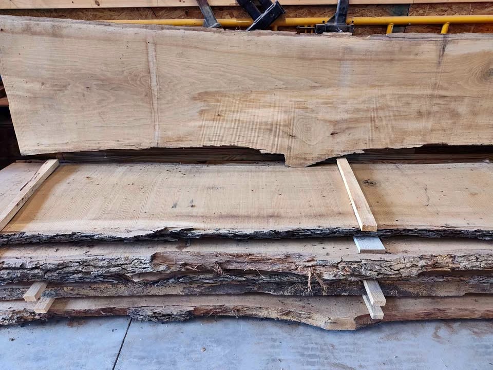 Slabs of White Oak - Image 1