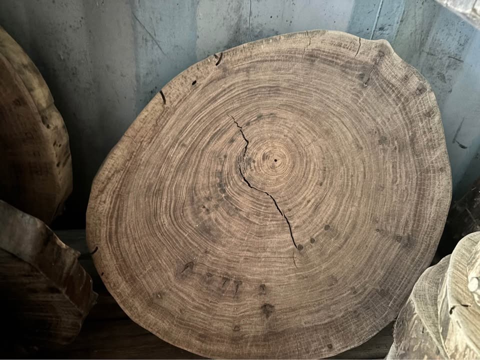 Black walnut pieces/slabs for end tables - Image 2