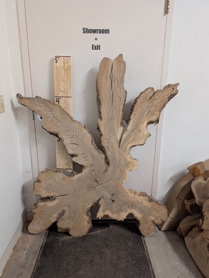 Hundreds of kiln dried & flattened wood slices - Image 8