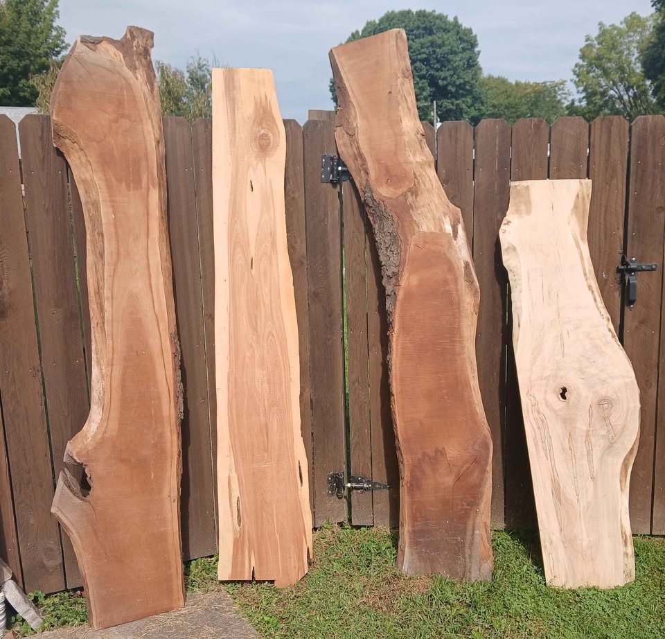 Live Edge Wood Slabs - Image 2