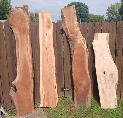 Live Edge Wood Slabs