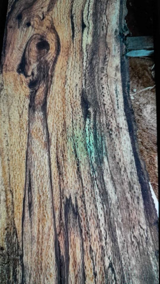 Rare Spalted Walnut Live Edge and Logs.... One of a Kind - Image 4