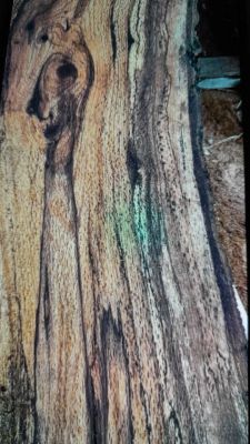 Rare Spalted Walnut Live Edge and Logs.... One of a Kind