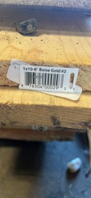 24 Boise Gold 1x10-8' Pine Lumber Boards