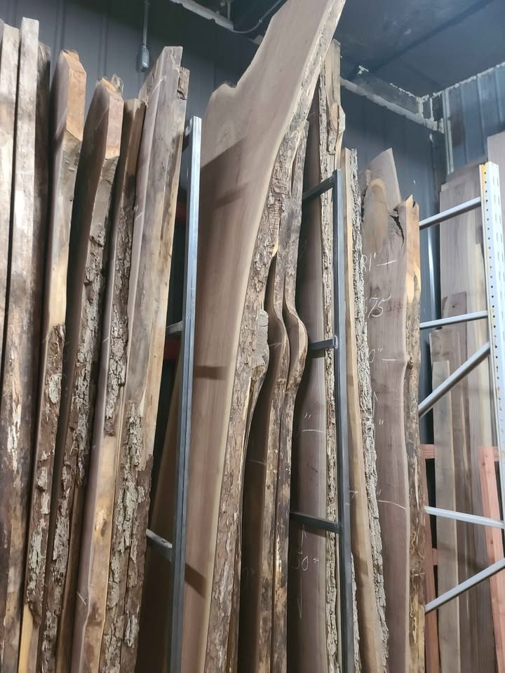 Giant Walnut Slabs - Image 10