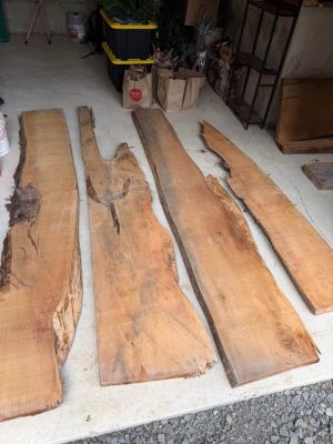 Live Edge Wood Slabs