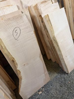 Lots of 55 figured maple cut offs