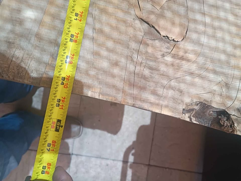 Wood slab - Image 3