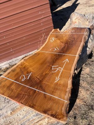 Mulberry fruit slab