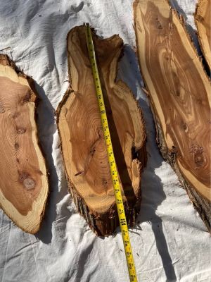 Live Edge Cedar Wood Slices/slabs - 
Individual or the Lot