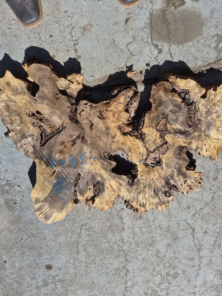 Buckeye Burl Slabs - Image 5
