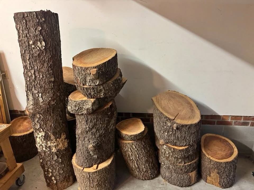 Cherry Wood Logs & Rounds — Garage Seasoned Nearly 8 Years — Best Offer