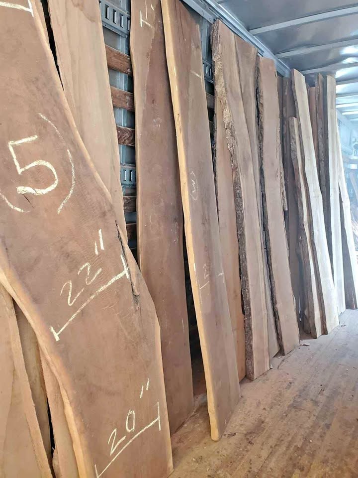 BLACK WALNUT SLABS