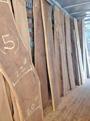 BLACK WALNUT SLABS
