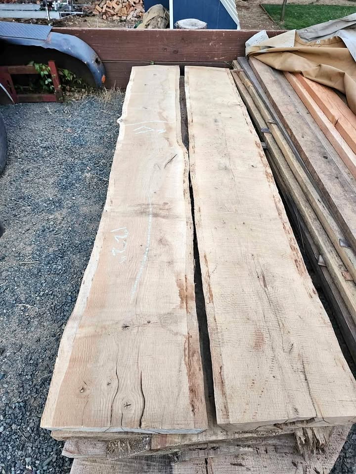 Huge Pine slabs kiln dried - Image 1