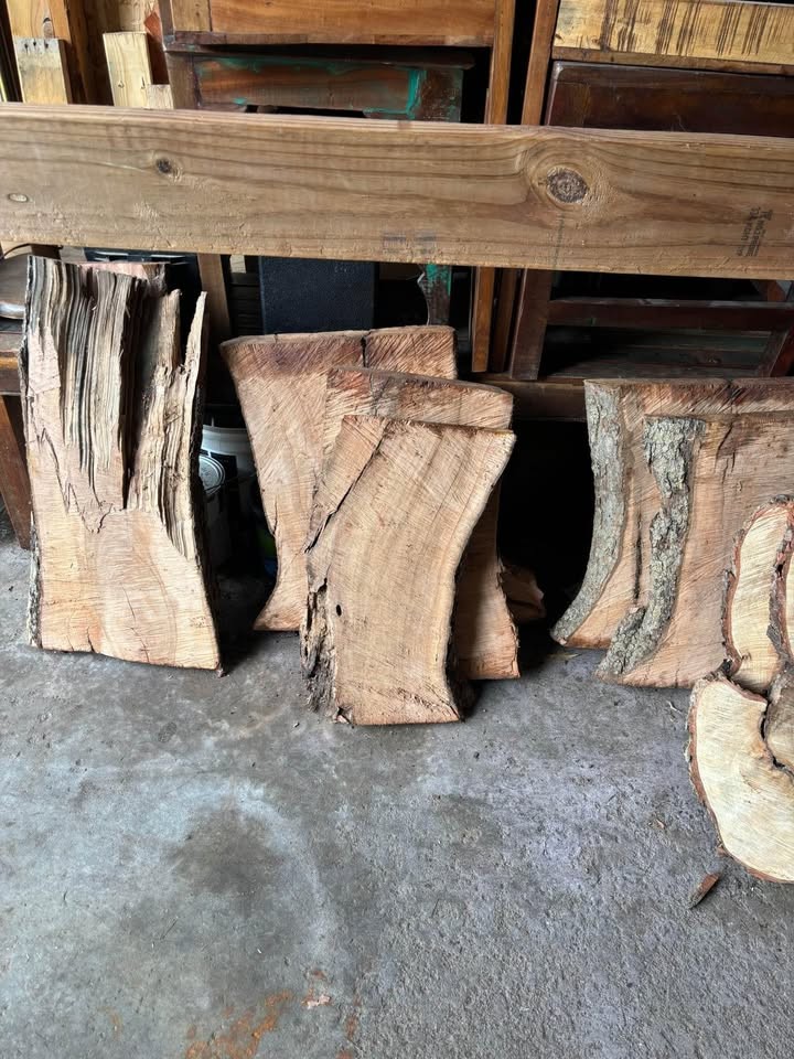 Live edge wood slabs - Image 3