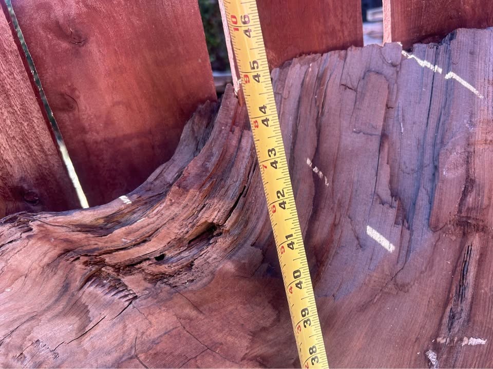 Redwood burl slab. Quite unique 
The is been dry for least 8 years $ firm measurements in photos - Image 3