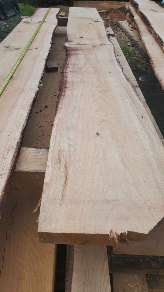 Pine slabs - Image 2