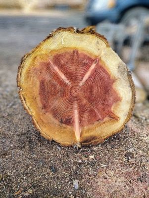 Redwood Slabs & Lumber