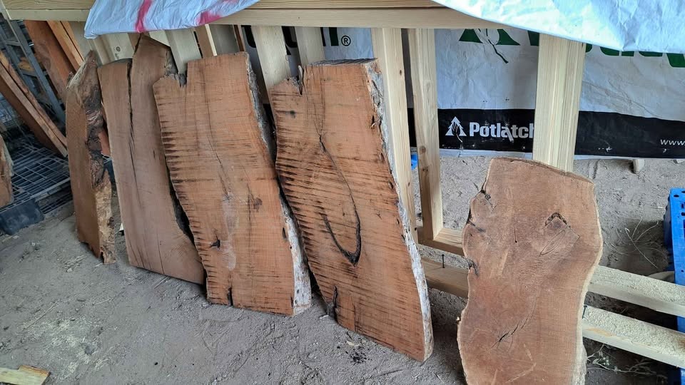 Live edge wood slabs - Image 4