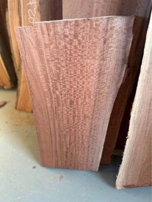 Eucalyptus live edge slabs