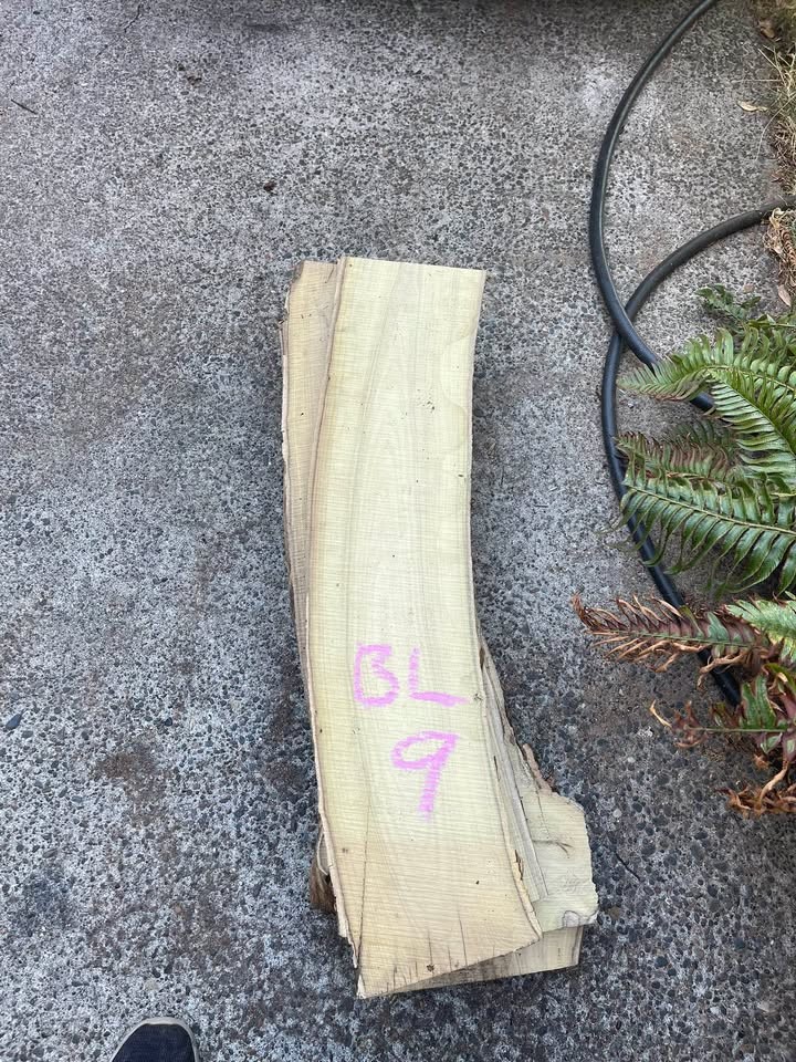 Live Edge Black Locust Wood Slabs - Image 6