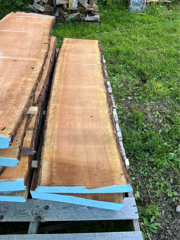 Gorgeous Kiln Dried Live Edge 12/4￼ Red Cherry Slabs - Image 3