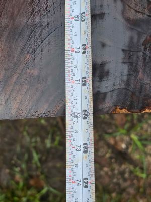 3 Walnut boards 6ft long $41 total - Pickup in Mount Vernon Ohio