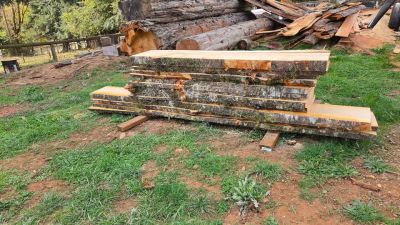 Live edge wood slabs