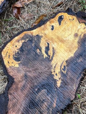Bookmatched extremely figured walnut slabs