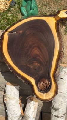 Assorted Live Edge Wood Slices