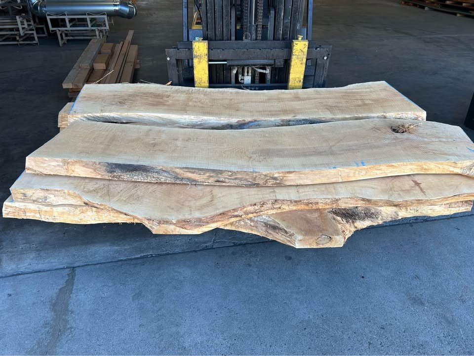 Live edge maple slabs - Image 7
