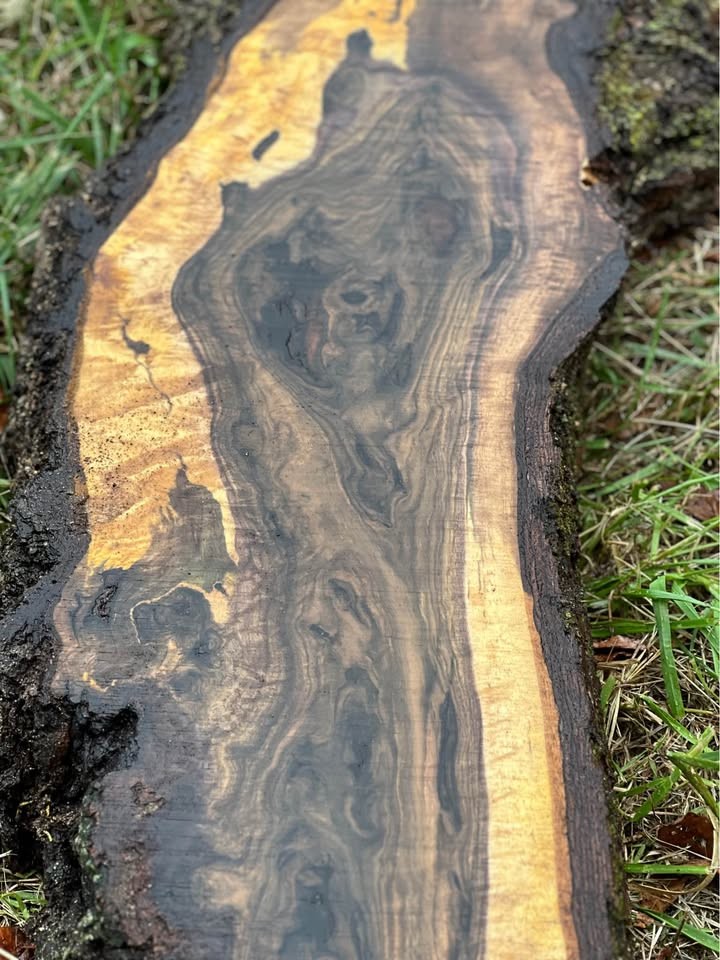 Bookmatched extremely figured walnut slabs - Image 4
