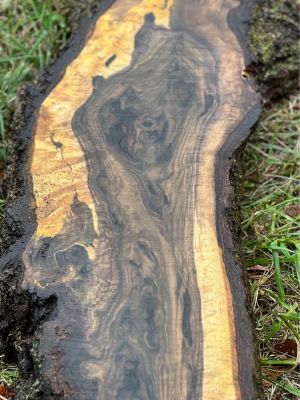 Bookmatched extremely figured walnut slabs