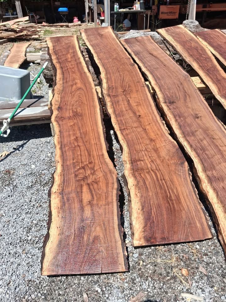 Live edge walnut slabs - Image 5