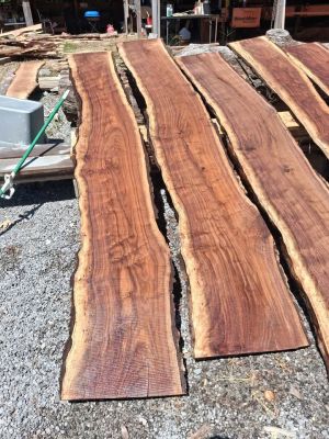 Live edge walnut slabs
